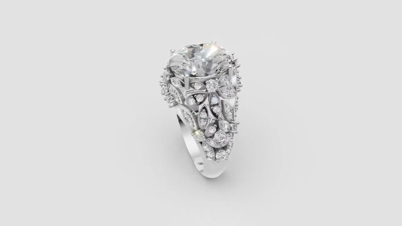 FSJD ring render — III