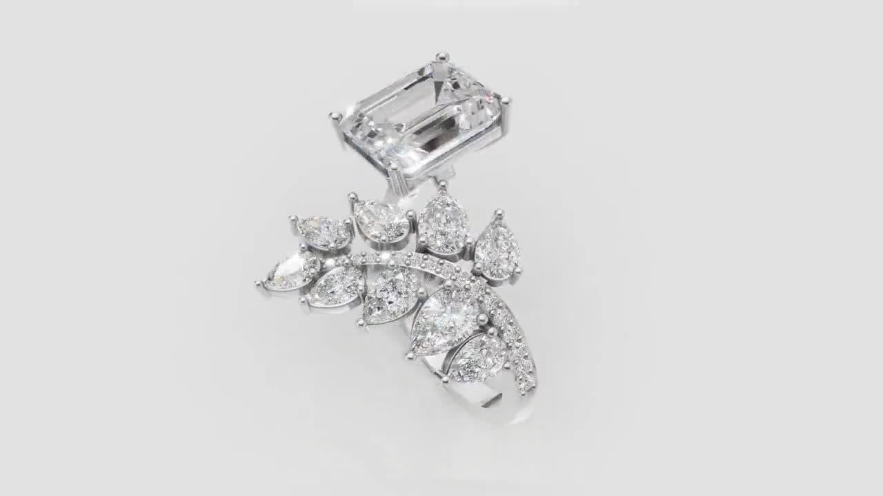 FSJD ring render — IV